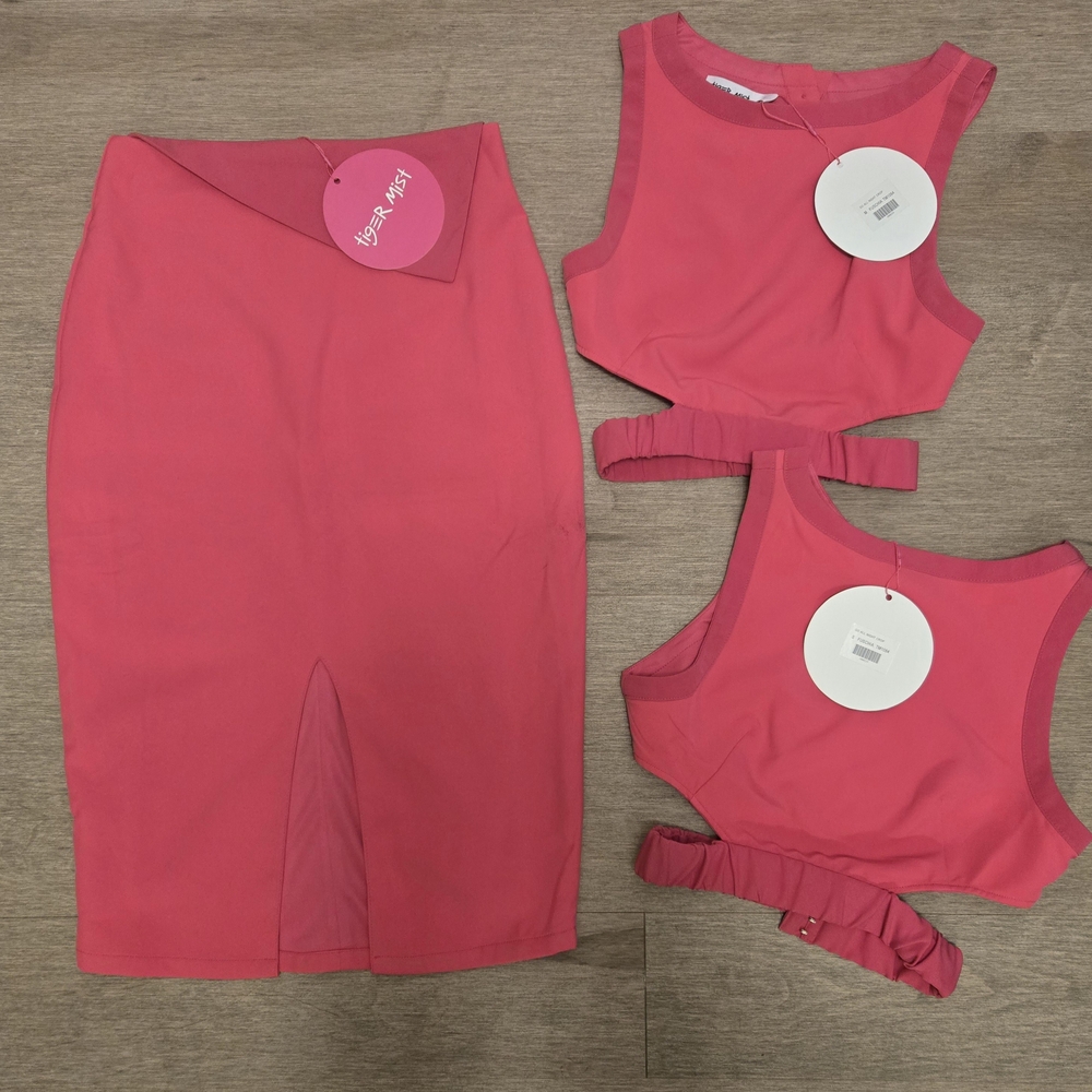 Nasty Gal Pink Skirt Set
